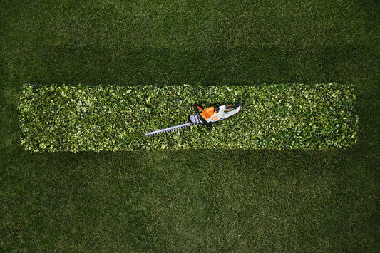 Taille haie HSA30 pack batterie et chargeur