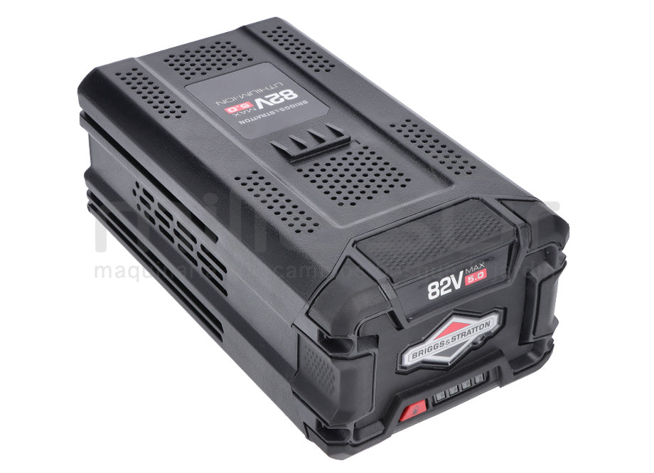 Pièces Briggs & Stratton – D11