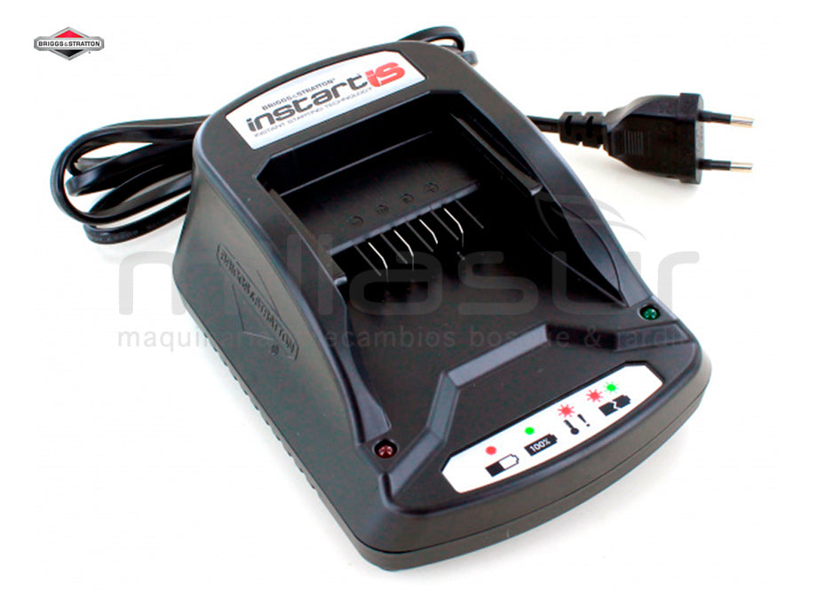 Pièces Briggs & Stratton – D10