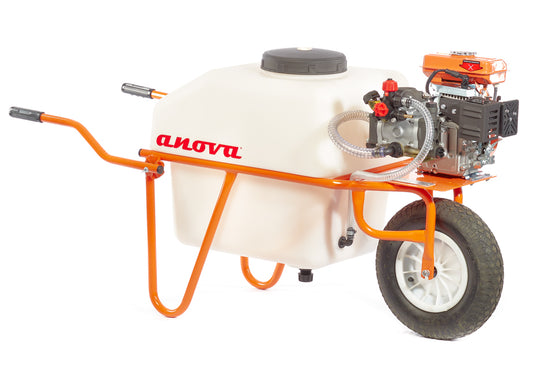 ANOVA P101