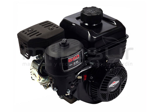 Pièces Briggs & Stratton – D08 - Mot&SB