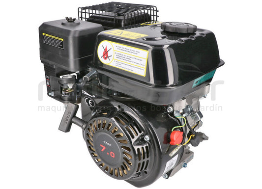 ANOVA RLT12GVH-049