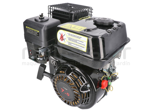 ANOVA RLT22GVH-035