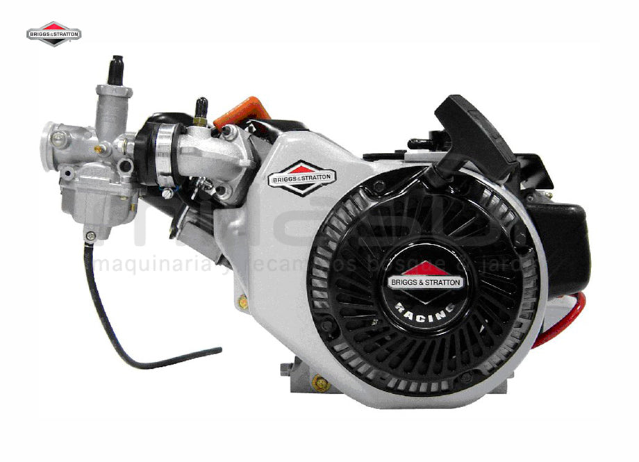 Pièces Briggs & Stratton – D04 - MotSpor