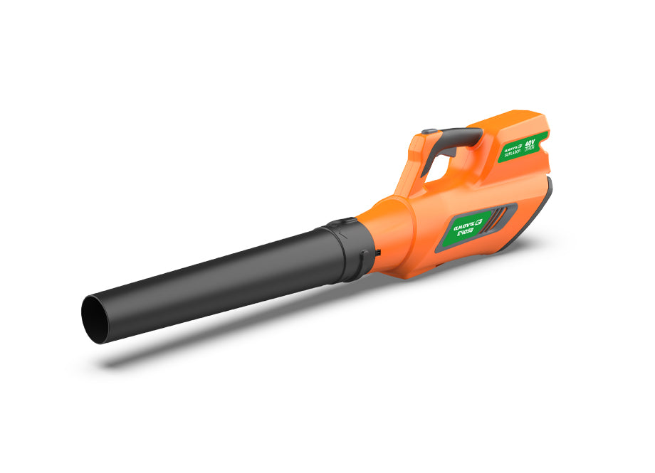 ANOVA E40SB